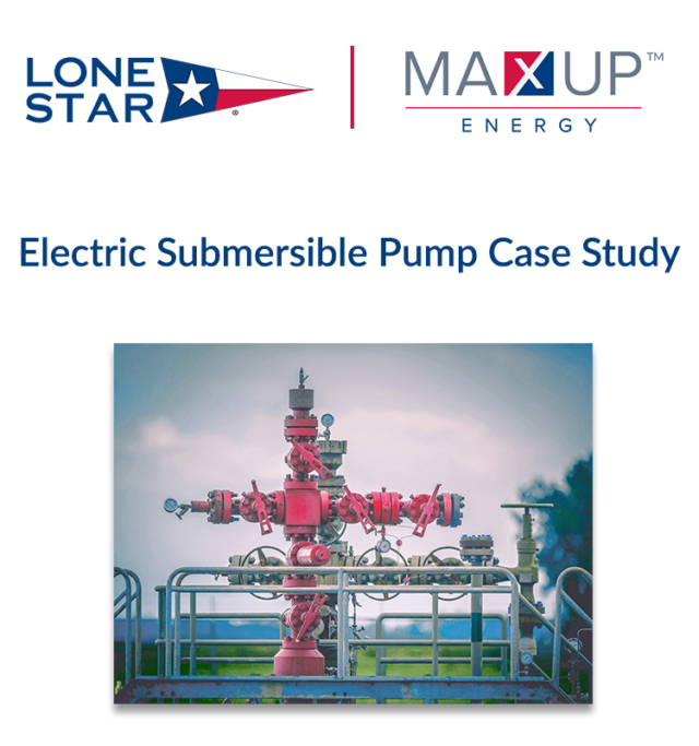 MaxUp Energy Electric Submersible Pump Case Study